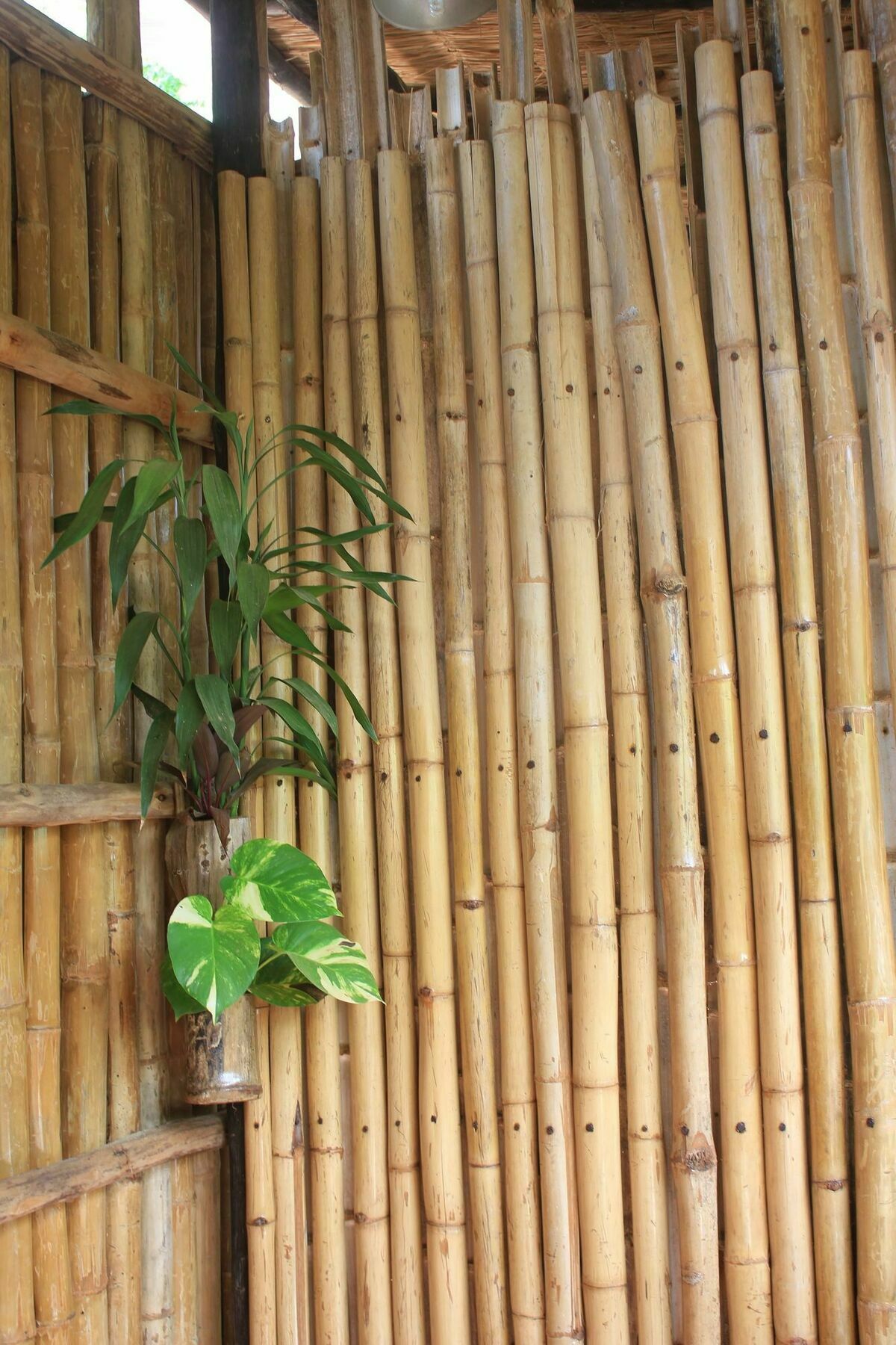 Battambang Dream Bungalows エクステリア 写真